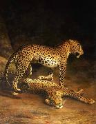 Jacques-Laurent Agasse Two Leopards Lying in the Exeter oil painting on canvas